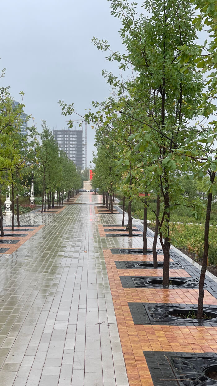 Приствольная решетка для дерева ZKING CRUST 1.2х1.2м Черная в Джанкое фото