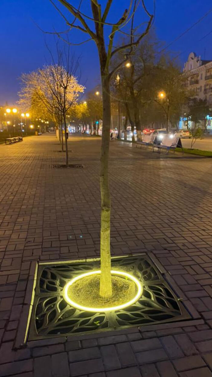 Приствольная решетка для дерева ZKING CRUST 1.2х1.2м Черная в Джанкое фото